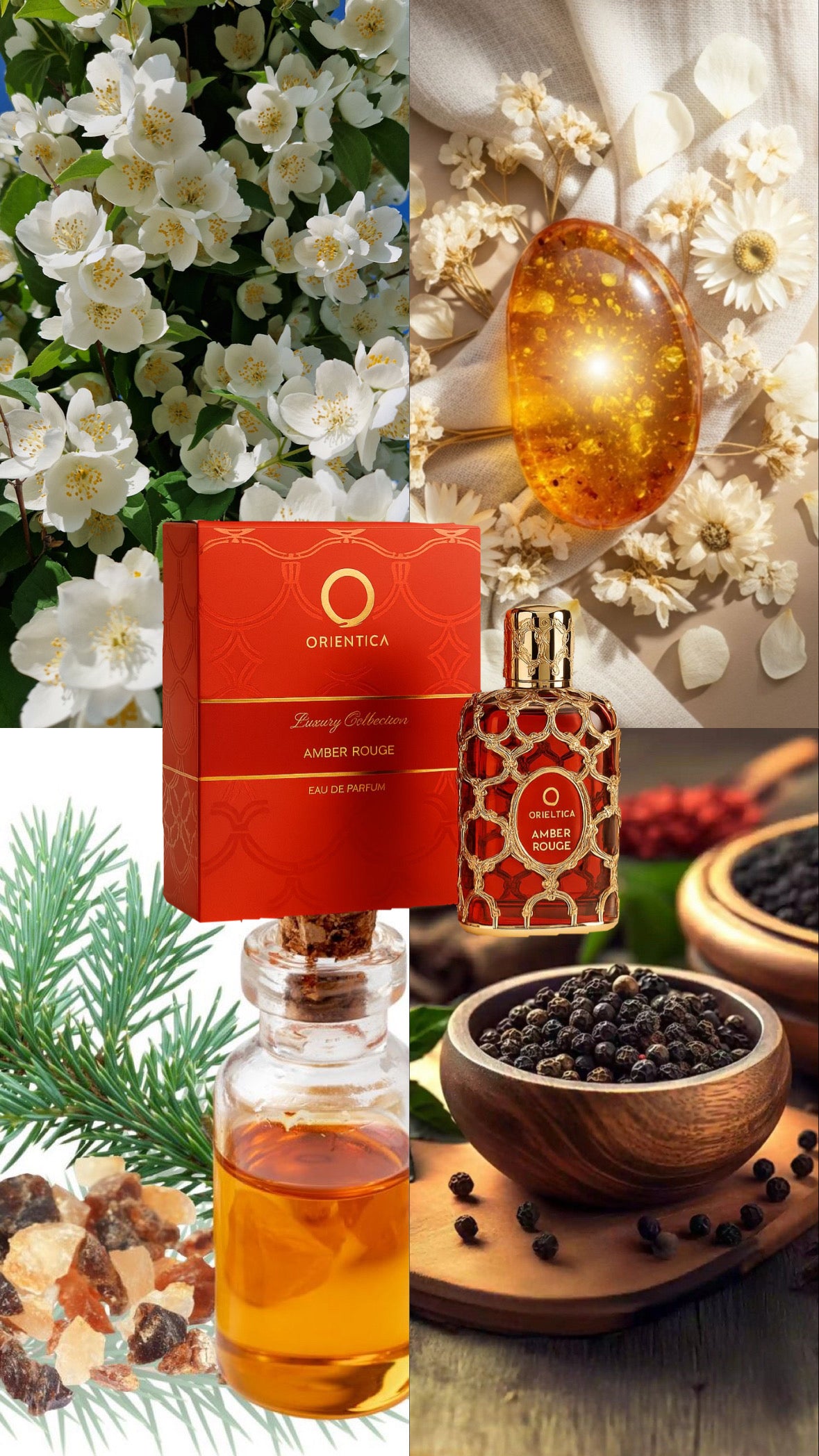 ORIENTICA AMBER ROUGE SET ORIGINAL