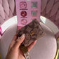 MONEDERO COACH CAFÉ DUPE