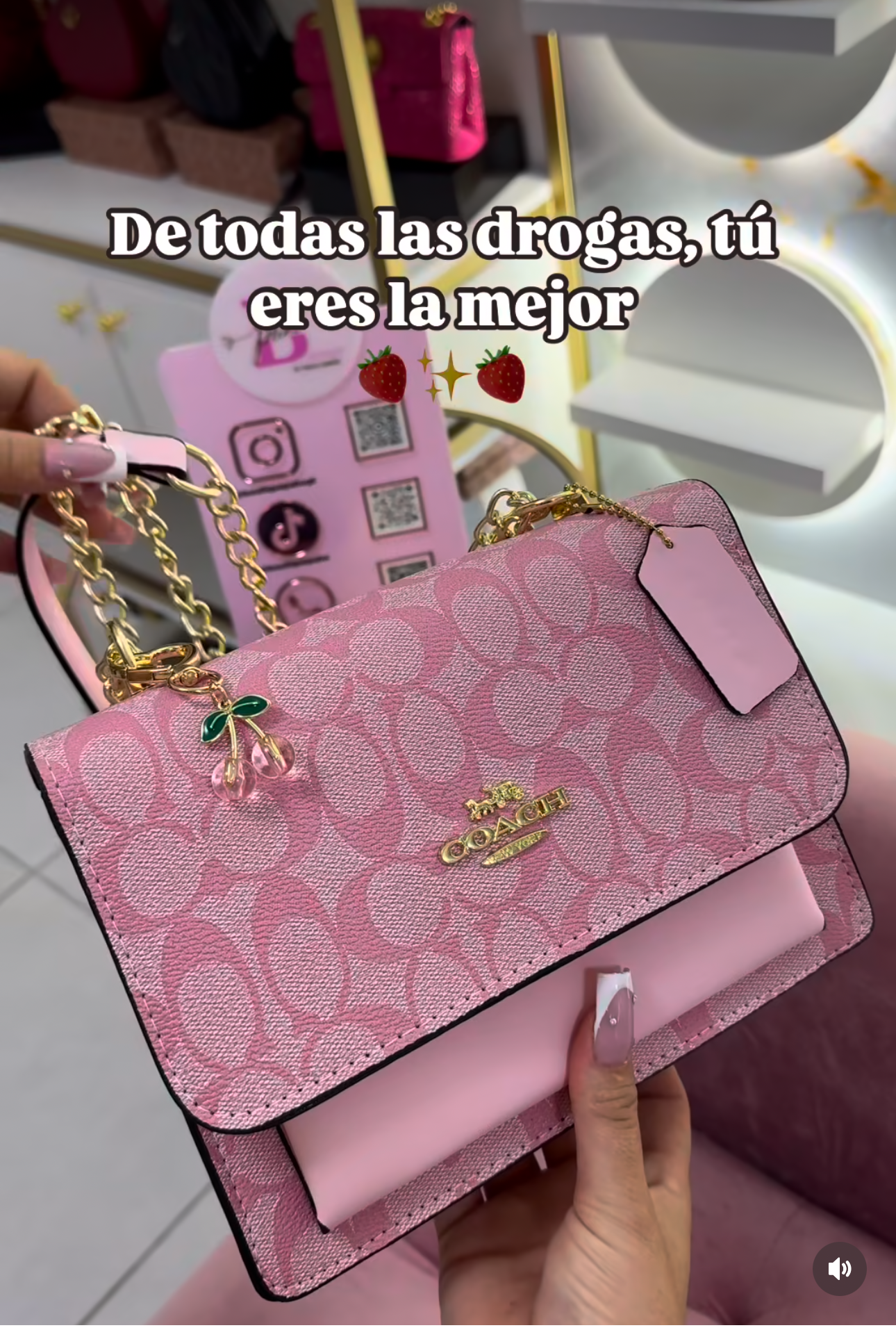 BOLSO COACH ROSADO DUPE