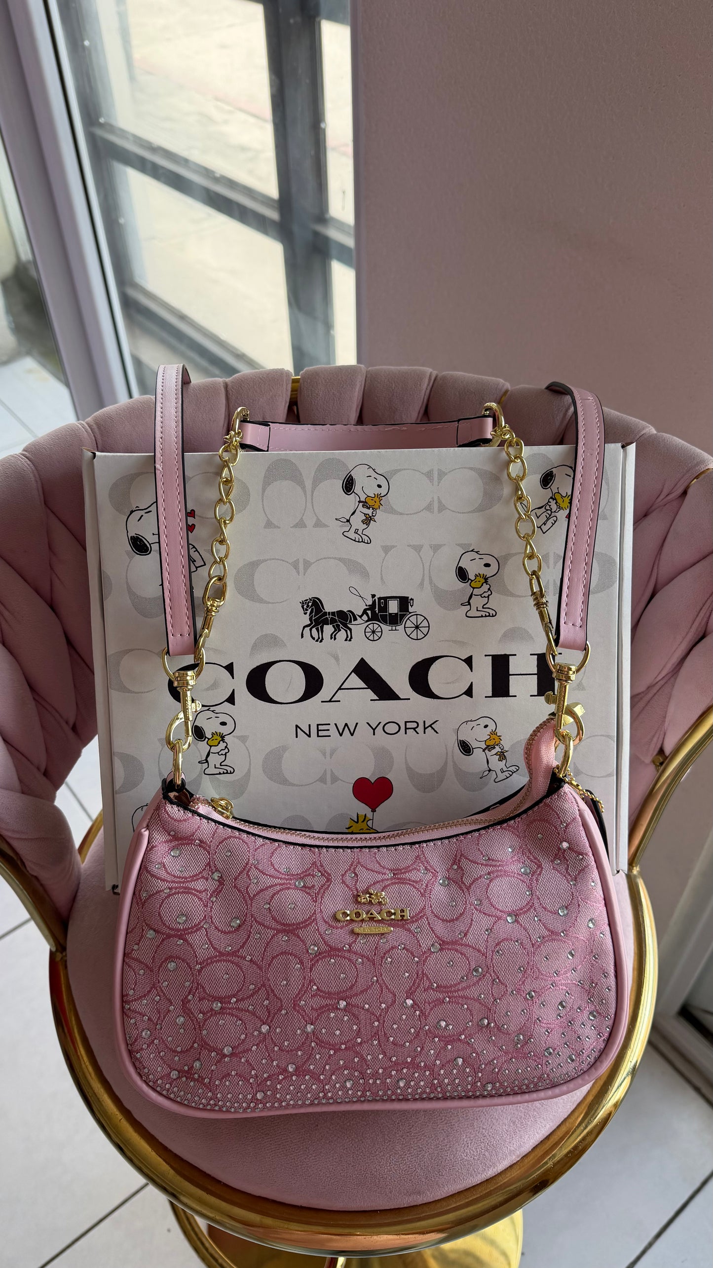 BOLSO MEDIA LUNA TERI ROSA COACH DUPE