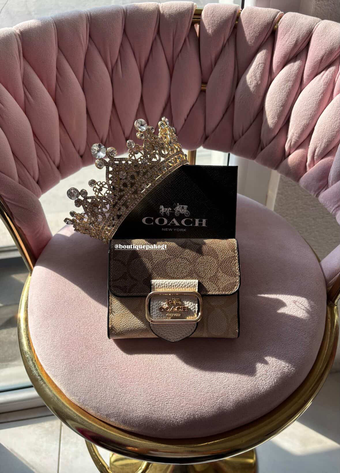 BILLETERA BEIGE CON CAFÉ COACH DUPE